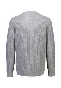 Maglione a maniche lunghe grigio chiaro lavorato a maglia con un motivo a zig zag testurizzato, con polsini a coste, orlo e scollo rotondo, mostrato da dietro.