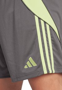 Graue Sportshorts mit glatter Textur, featuring limegrüne Seitenelemente und drei Streifen am Bein. Enthält ein Adidas-Logo.