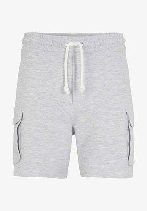 Shorts - light stone grey melange