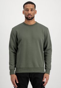 Felpa verde con collo a giro e polsini e bordo a costine. Texture del tessuto liscia, design aderente. Indossata sopra pantaloni neri.