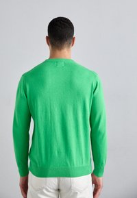 KNITID CASHMERE BLEND PLAIN CREW NECK - Strikkegenser - green flash