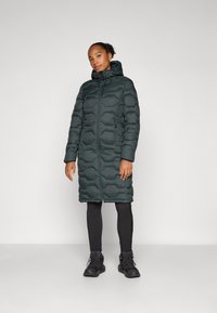 Icepeak BANDIS - Ziemas mētelis - dark green