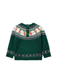 Pull tricoté vert avec un yoke blanc à motifs comprenant des rennes, des accents géométriques noirs et blancs, et trois boutons en bois au dos.