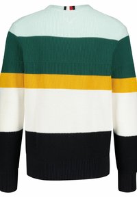 Pull en tricot avec des rayures horizontales vertes, jaunes, blanches et noires, doté de poignets et d'un ourlet côtelés. Design texturé avec un col rond.