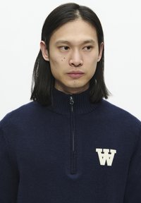 DOUBLE A BY W.W. WWTAY HALF ZIP - Strickpullover - salute