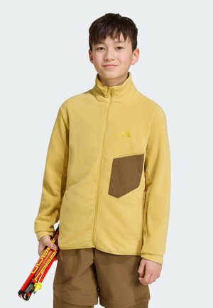 adidas Terrex, UNISEX - Fleecejas - pyrite