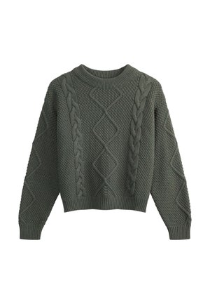 Groen gebreid sweater met een textuurpatroon, kabelontwerp, ronde hals en een losse pasvorm. Ribgebreide manchetten en zoom maken de look compleet.