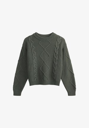 Groen gebreid sweater met een textuurpatroon, kabelontwerp, ronde hals en een losse pasvorm. Ribgebreide manchetten en zoom maken de look compleet.