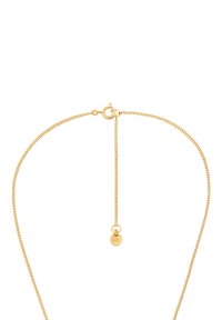 Collana in tonalità oro con una catena fine e delicata, corredata da un piccolo ciondolo circolare. Lunghezza regolabile con chiusura a moschettone.