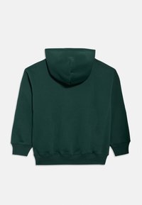 Camisola com capuz verde escura, mangas compridas, punhos canelados e um bolso frontal, mostrada de costas sobre um fundo branco.