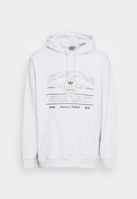 Ljusgrå hoodie i mjuk tyg, med en framficka, dragsko på huvan, och ett grafiskt tryck med text och logotyp på bröstet.