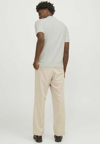 Polo a maniche corte, di colore grigio chiaro e lavorato a maglia, con colletto a coste, abbinato a pantaloni beige e scarpe scure, visto da dietro.