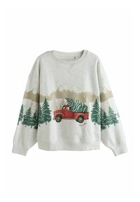 Hanorac gri deschis cu un camion vintage roșu, înconjurat de copaci de pin verzi și siluete de munți, având un guler rotund casual și o croială lejeră.