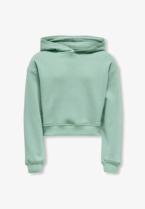 Sweat à capuche court vert clair avec une texture douce, manches longues et capuche à cordon. Comprend des poignets côtelés et un ourlet inférieur côtelé.