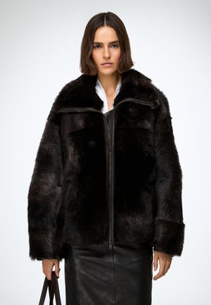 BEA - Chaqueta de invierno - dark brown