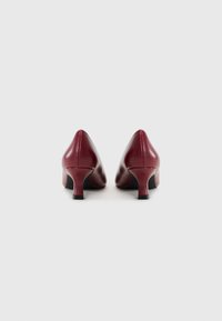 Scarpe con tacco alto in pelle rossa, con punta affusolata e design della caviglia sagomato. I tacchi sono sottili e di altezza media.