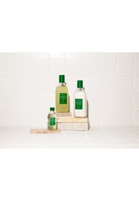 Miniatyrbild 2