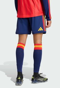 Červený dres svislými pruhy, modré šortky, červeno-žluté pruhované ponožky a černé kopačky se zelenými doplňky a stříbrnými pruhy.