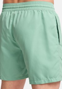 Costumi da bagno verde chiaro con vita elasticizzata, tasche laterali e texture liscia. Include una vestibilità leggermente sagomata e cuciture pulite.