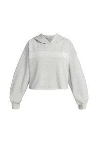 AFTERNOON HIKE - Jersey con capucha - grey