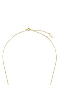 Zarte dünne Goldkette mit rundem Federverschluss und verstellbarer Verlängerungskette vor weißem Hintergrund.