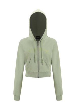 Cropped zip-up hoodie in light green with a contrasting dark green lined hood. Features front pockets and drawstring accents. Soft fabric texture.