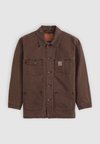 BERKLEY - Veste en jean - brown