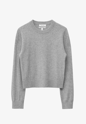 Grijze gebreide trui met een ronde halslijn, lange mouwen en een cropped ontwerp. Zachte textuur en geribbelde accenten bij de manchetten en zoom.