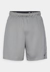FLEX SHORT - Αθλητικό σορτς - smoke grey/black