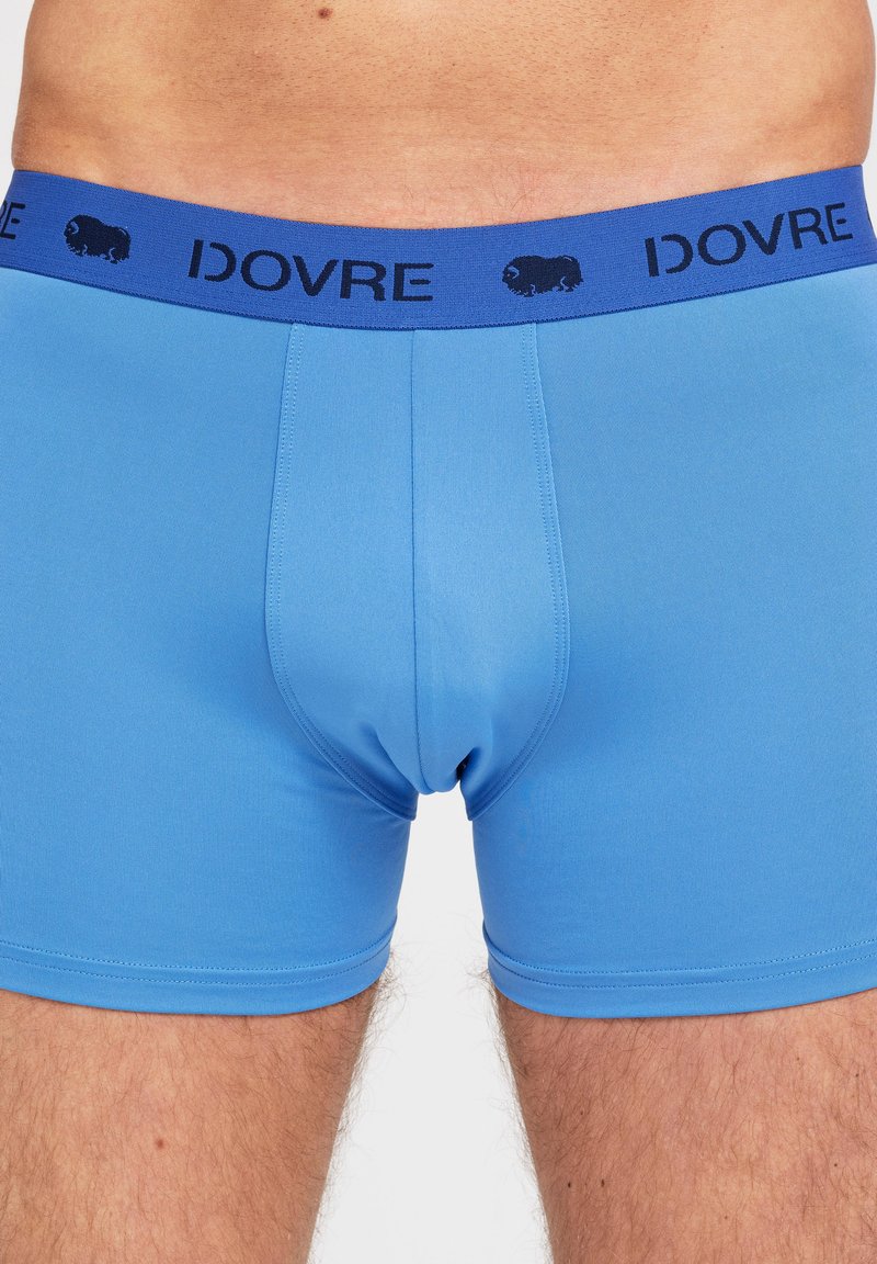 Dovre 3 PACK - Trunks - blue