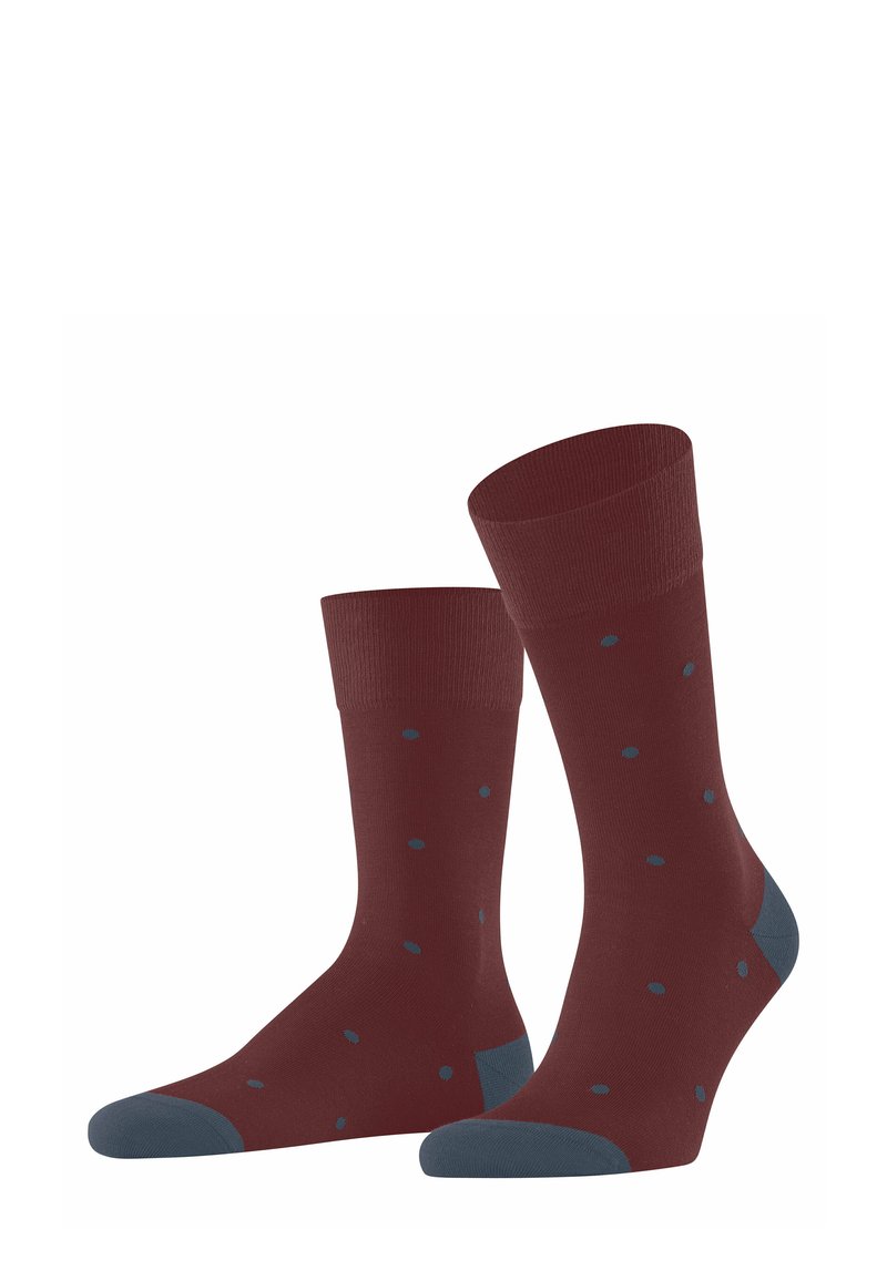 Chaussettes bordeaux avec des pois bleus et des orteils bleu contrastants, présentées debout sur un fond blanc.
