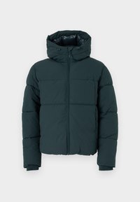 JORVESTERBRO PUFFER JACKET  - Winterjacke - forest river
