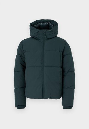 Jack & Jones JORVESTERBRO PUFFER JACKET  - Žieminė striukė - forest river