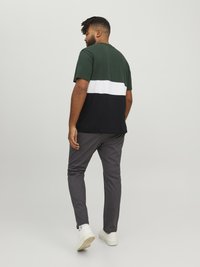 Jack & Jones JJEREID BLOCKING TEE - Apdrukāts T-krekls - mountain view