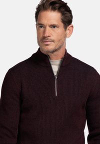 Bordeaux geribbeld sweater met een halve rits kraag. Beschikt over een textuur en korte rits, in combinatie met een lichtere basislaag eronder.