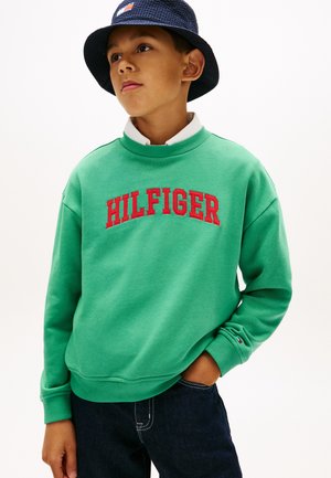 VARSITY - Mikina - bahama green