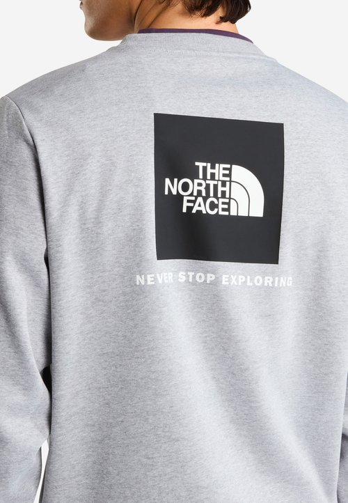 The North Face M EVOLUTION BOX NSE REGULAR CREW. - Sweatshirt - tnf pale grey heather — photo 4
