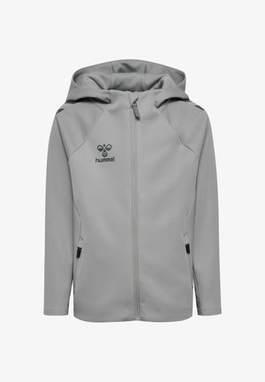 To børn i matchende lysegrå hættetrøjer og bukser, den ene ser nedad med hænderne i lommerne, den anden vender frem med arme ned langs siderne.