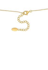 Gouden ketting met een fijne schakel, uitgerust met een karabijnsluiting en een verstelbaar schakelgedeelte met een ovale tag. Glad oppervlak over de hele lengte.