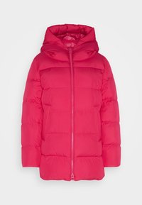 Chaqueta acolchada en rosa brillante con cremallera frontal, cuello alto y capucha. Presenta costuras horizontales y dos bolsillos laterales.