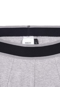 Honesty Rules UNTEHOSE COMFORT - Underkläder - grey