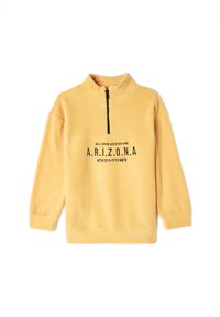 Pullover in pile giallo con colletto alto, apertura frontale con mezza zip, e testo nero che recita "WILD-CANYON-ADVENTURE-PARK A.R.I.Z.O.N.A."