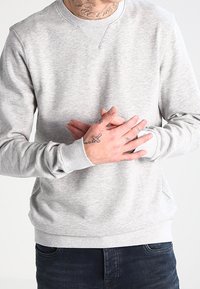 Sudadera de cuello redondo gris claro con mangas largas, puños y dobladillo acanalados, presenta una textura suave y sin patrones ni gráficos visibles.