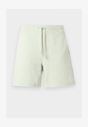 Lys grønne casual shorts med elastisk midjebånd, snøring, sidelommer og liten logo på nederste venstre ben.