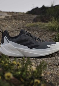 Μαύρο και άσπρο παπούτσι trail running Adidas Terrex Gore-Tex σε βραχώδες εξωτερικό έδαφος με μερικά πράσινα φυτά κοντά.
