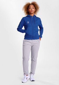 Sportieve hoodie in blauw met ritssluiting en logo op de borst, gecombineerd met lichtgrijze joggingbroek. Beide kledingstukken hebben een losse pasvorm.