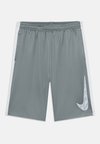 UNISEX - Short de sport - smoke grey/white