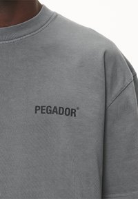 Pegador GORDAN OVERSIZED TEE - Tricou cu imprimeu - vintage grey