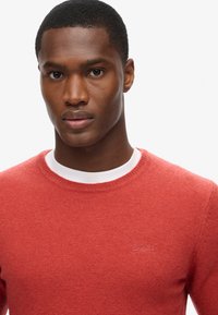 Rode trui van gestructureerde brei, met een ronde hals en geborduurd logo op de borst. Glad binnenlaag zichtbaar.