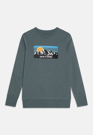 Felpa grigia con girocollo caratterizzata da una grafica di montagna e sole, nome del marchio "JACK & JONES" in bianco, con polsini e orlo a coste.